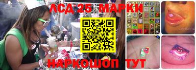 apvp Краснодар