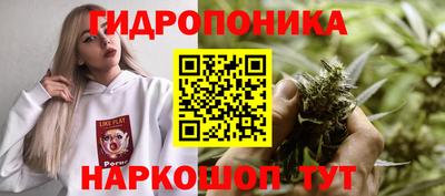 apvp Краснодар