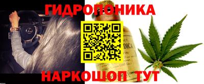 Альфа ПВП Краснознаменск