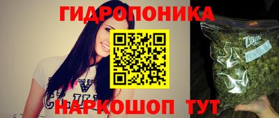 apvp Краснодар