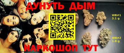 Альфа ПВП Краснознаменск